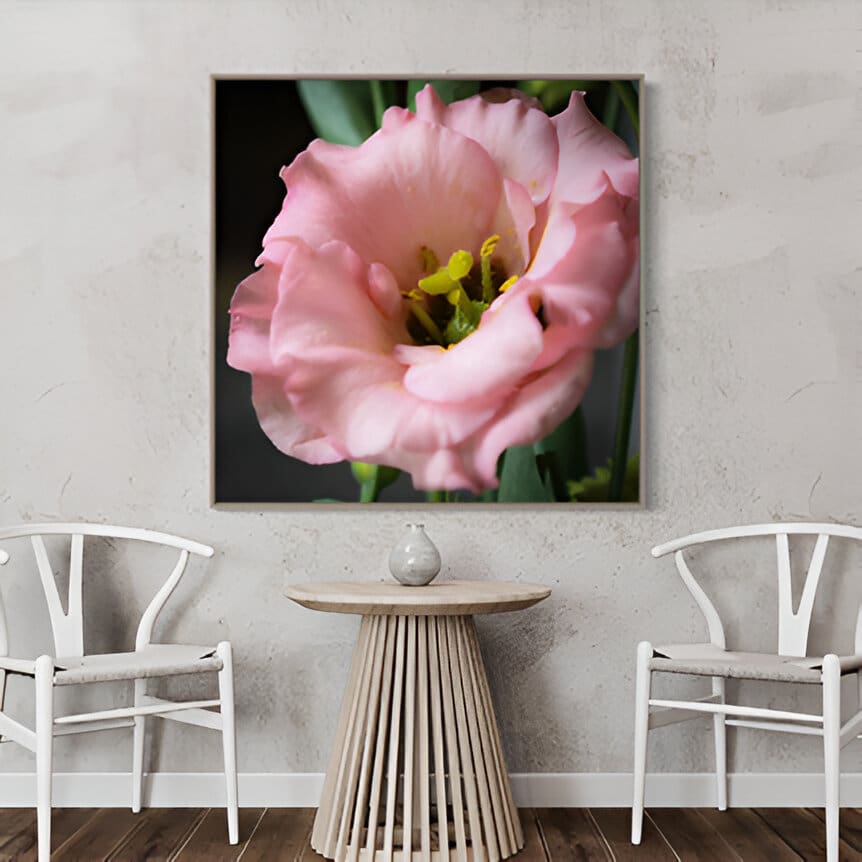 A pink flower sitting on top of a wall.