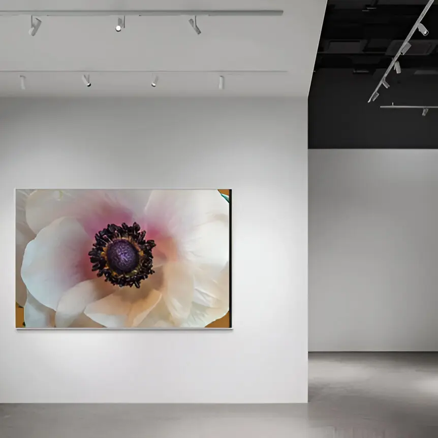 A large white flower sitting on top of a wall.