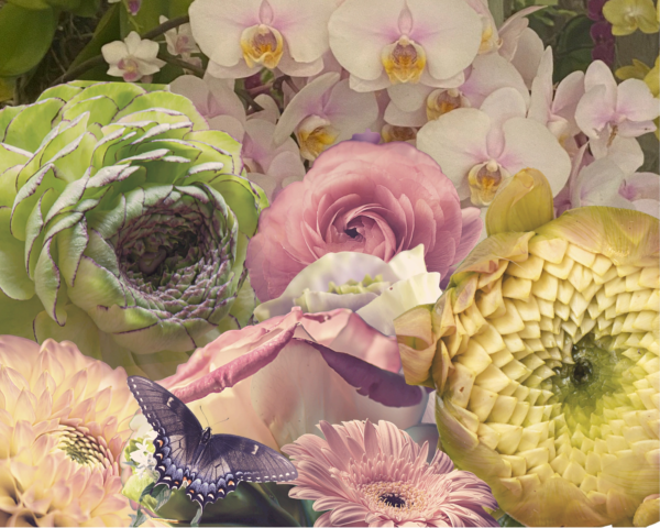 A collage of flowers and butterflies with pink, yellow and white.