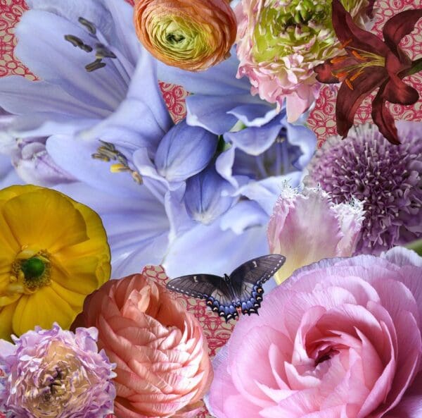 A close up of many different flowers