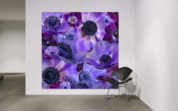 Anemone Dreamscape - Image 2